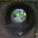 안나하우스벨리 이미지