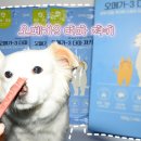 오르헬스케어 이미지