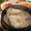 갑오삼계탕 - 창원시 성산구 | 갑오삼계탕