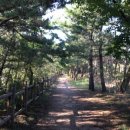 제7구경길 송지호둘레길 이미지