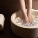 스파오케스트라 이미지