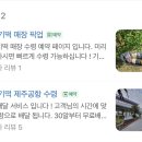 춘심이네 이미지