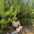 스테이 낙낙 이미지