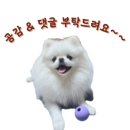 김가네 | 대구 근교 경산 한식 맛집: 김가네 참한 밥상 솔직 후기