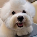 멍그라밍 이미지