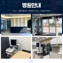 일리동물의료센터 이미지