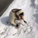 단양한우 목장 이미지