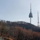 스테프핫도그남산서울 이미지