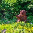 (사)제주역사문화진흥원 이미지