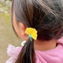 공중화장실(국궁장) 이미지