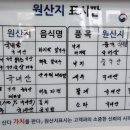 탄도칼국수