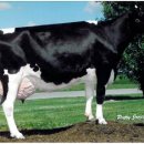 병양농장 이미지