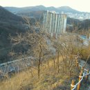 현일초교도로 이미지