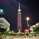 후쿠오카 타워 입장권권 최저가 비교, 밤의 모모치해변