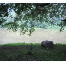 암산유원지 이미지