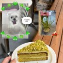 조은 cafe 이미지