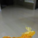 은영농장 이미지