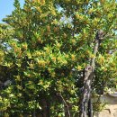 논개사당 이미지