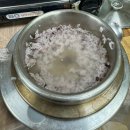 진하꽃게