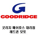 레드존모토