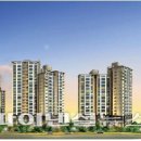 금호아파트 진입로 이미지