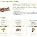 편안한건강식품