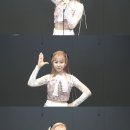 천태만상 티브이데일리