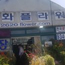 강화꽃직매장