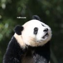 몬나니