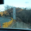 동보차 유리 | 거제 키즈펜션, 거제리조트 찾으신다면 홈포레스트 리조트 강추