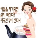 부인병과 갱년기장애에 황진이. 이미지