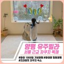 정우빌라 나동 앞 | 아이와 함께한 1000일 힐링 여행/ 양평 유주별장 자쿠지 독채 숙소 후기