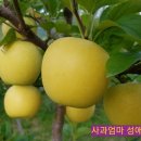 성애농장 이미지