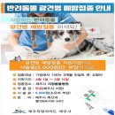 해맑은동물병원 이미지