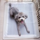 대왕고래 화장실 이미지