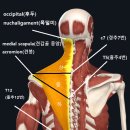 경기도 수원시 영통구 권선로908번길 이미지