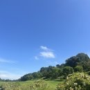 마이다스밸리 청평 골프 클럽 이미지