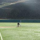 진남체육공원 야구장 이미지