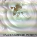 보라빛케이크