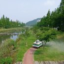 삼향천5 이미지