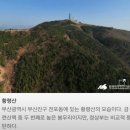 양정어르신쉼터 | [부산팔대] 배산성지 겸효대 김겸효 배산 거칠산국 연산동