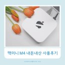 [공지] 애플 맥미니 M4 내돈내산 후기 M4 Pro 차이와 설치 및 연결 팁