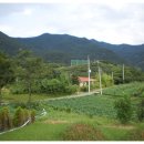 섬지뜰농장 이미지