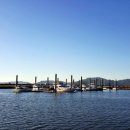 삼락오토캠핑장 이미지