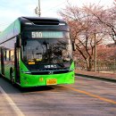 충남 서산시 서령버스 봄에 핀날에도 친환경 수소전기버스가 달리고 있다. 이미지