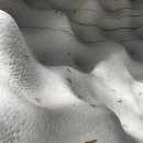 이용주건축사사무소 이미지