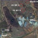 양성지별묘 이미지