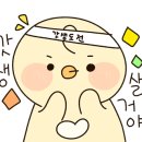 명동호프 이미지