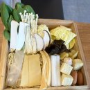 마라혼샤 이미지