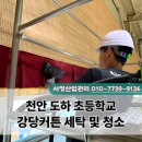 도하초등학교 이미지